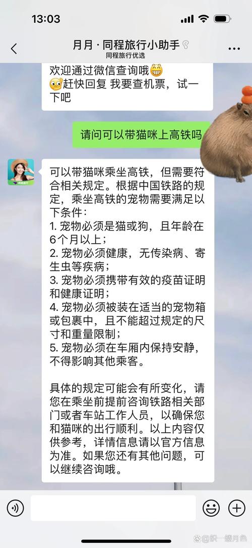 想坐高铁回家猫咪怎么带?正确的托运方法你需要了解下!