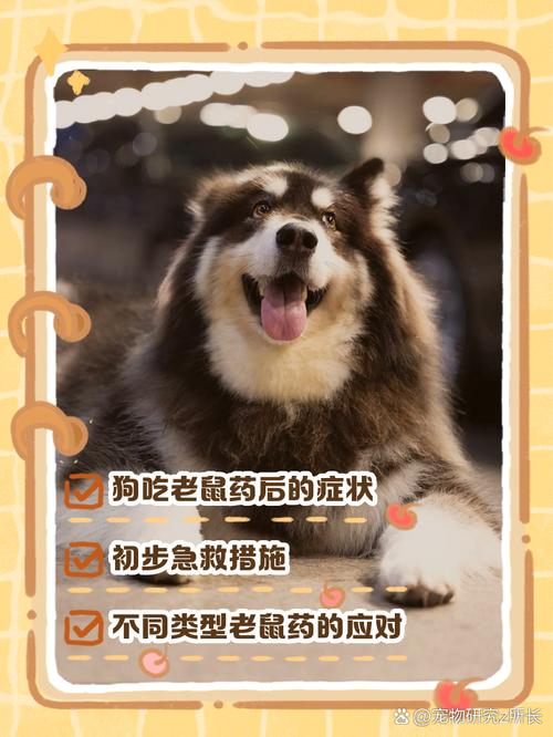 狗吃了老鼠药的症状