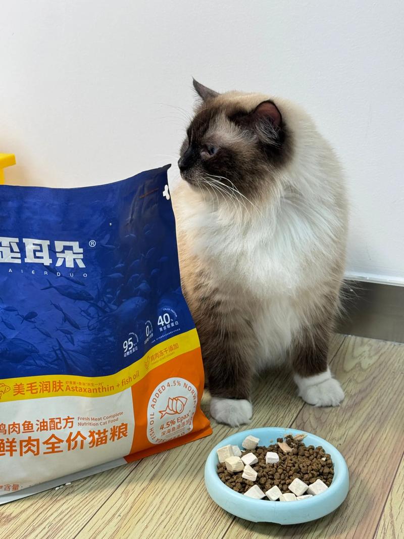 主人如何养可以使猫咪的毛发更好呢?