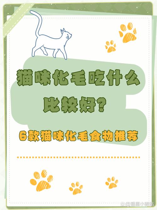 猫毛发怎样能增光发亮?吃什么猫咪新长的毛发会好?