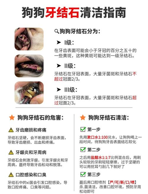 如何去除狗的牙结石