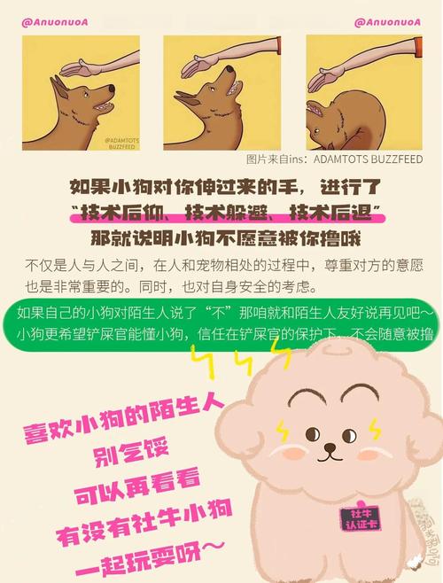 怎样做是对狗狗表示友好???