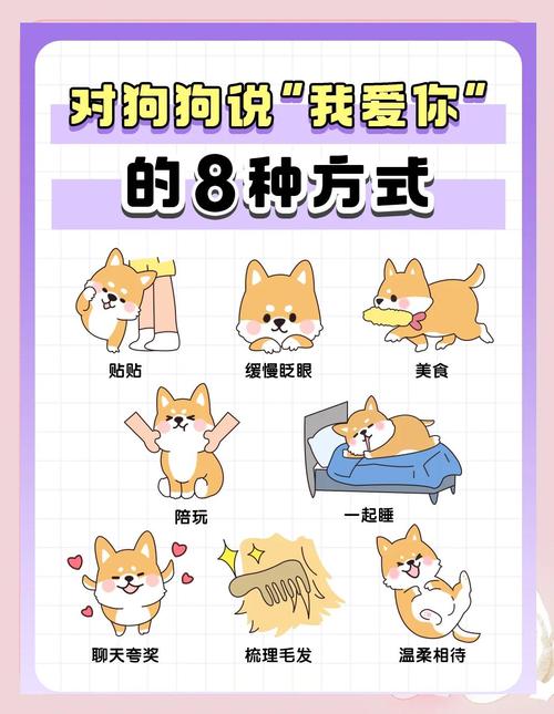 怎样向狗狗表示友好