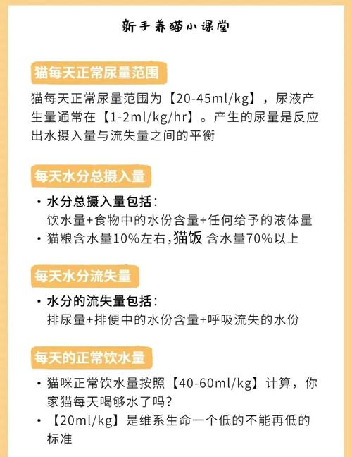 猫咪一天尿多少次正常?猫咪尿频怎么办?
