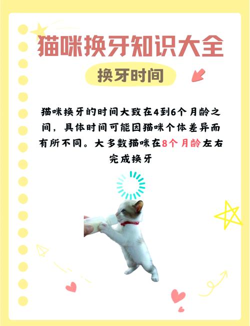 猫咪要刷牙吗?多久需要刷一次牙