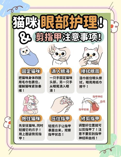 主人们不要偷懒,要好好给喵主子们刷牙