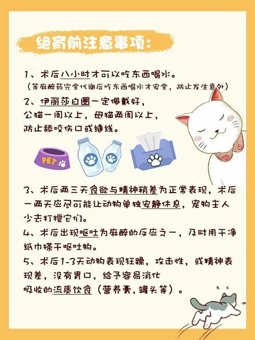 猫咪绝育攻略丨保姆级超详细割蛋干货