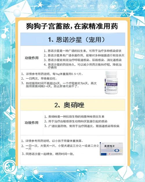 母猫绝育和子宫蓄脓费用一样吗