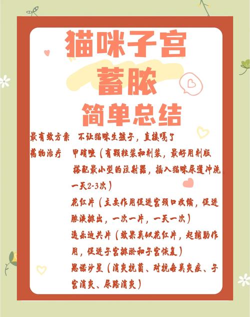 老年猫咪子宫蓄脓能做手术吗?