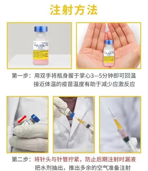 猫咪打疫苗超全攻略|新手养猫