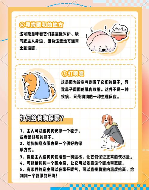 狗狗发抖最简单处理方法