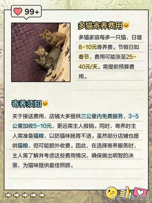 宠物猫寄养多少钱一天?
