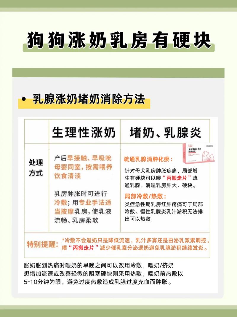 如何给狗狗催奶