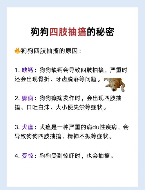 狗狗睡觉呜呜叫抽搐要不要叫醒?