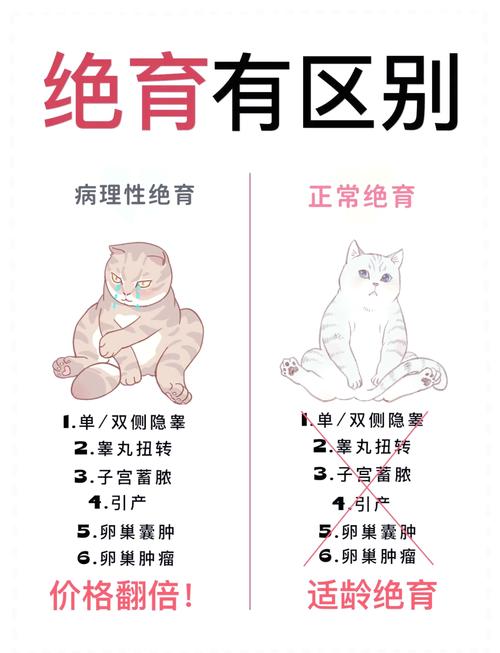 猫绝育手术的坏处