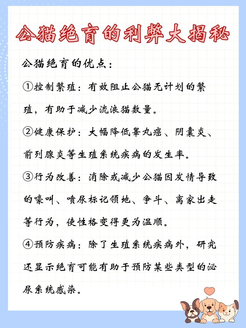 公猫绝育的坏处,如果给公猫绝育的弊端有那些?