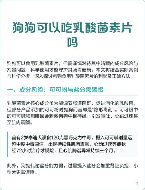 狗狗能吃乳酸菌素片吗?有什么用?