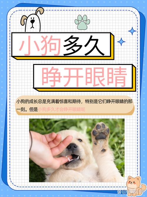 小狗几天睁眼睛几天会走