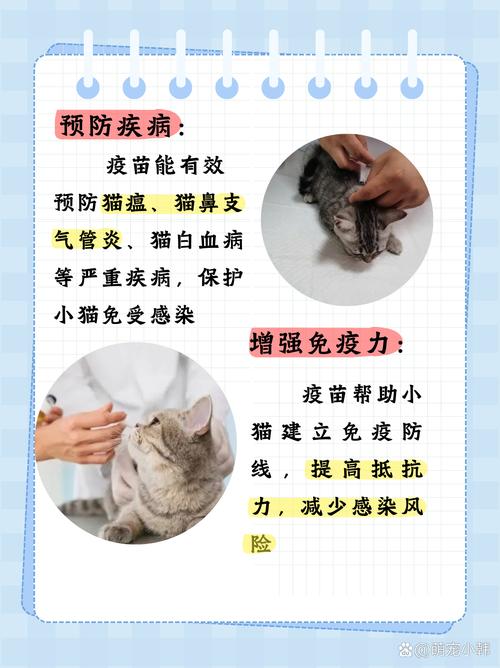 不给猫咪打猫三联可以吗?