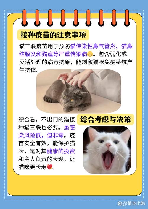 自家养的猫咪不打疫苗可以吗