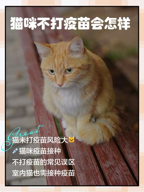 家里养的猫不打疫苗行吗?