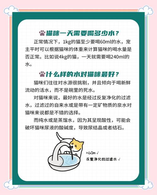 猫咪每天喝多少水算正常