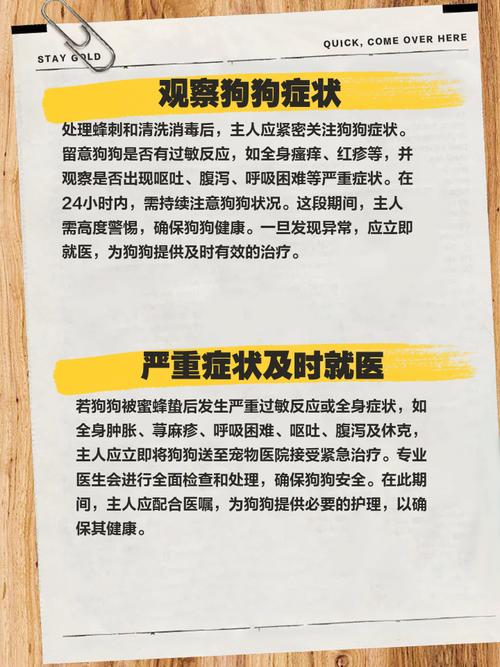 狗狗被蜜蜂蛰了怎么办