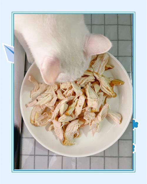 鸡胸肉怎么煮给猫咪吃