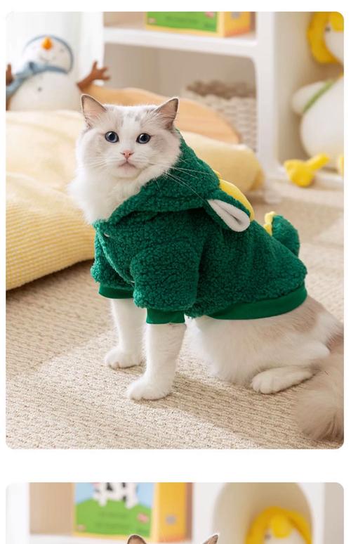 猫冬天需要穿衣服吗?