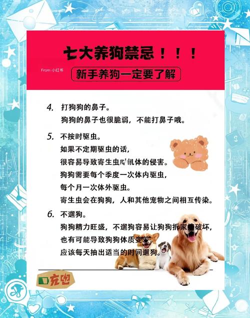 狗狗寄养,铲屎官没注意的细节