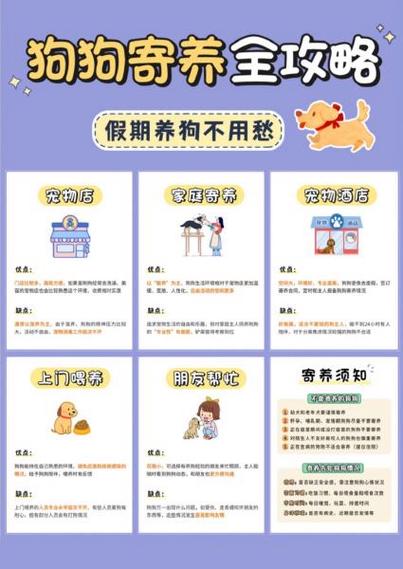 寄养宠物,需要注意这些事项