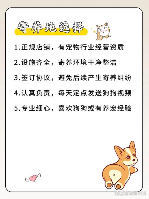 宠物寄养注意事项,毛孩子家长建议收藏!