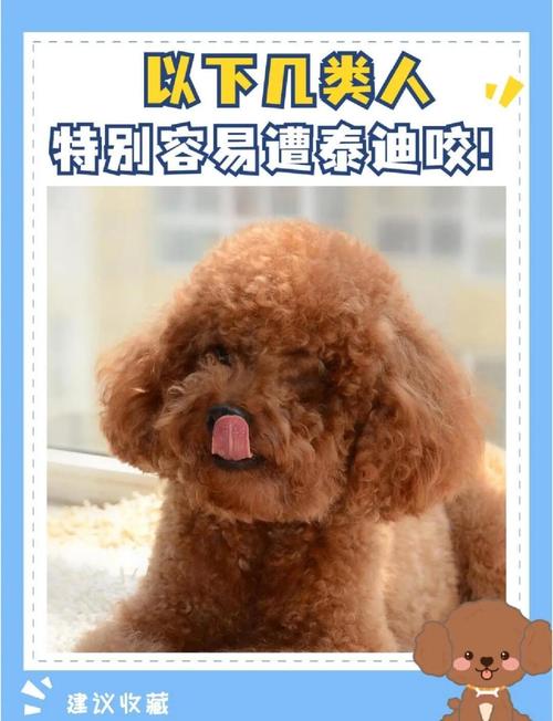 7招让狗狗身上不再有异味|新手养狗收藏