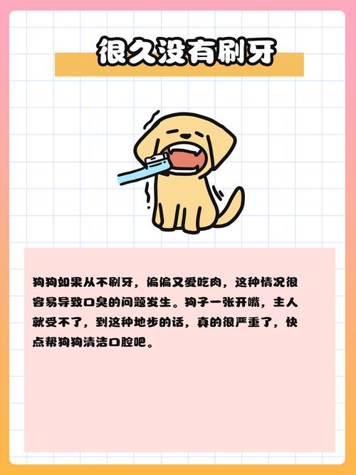 怎样去除狗狗身上的味道