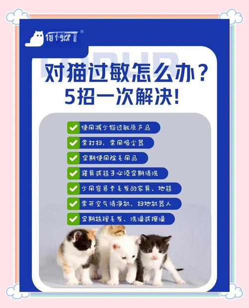 猫吃东西过敏了怎么办