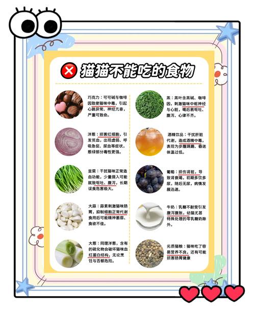 猫可以一天三顿都吃肉吗