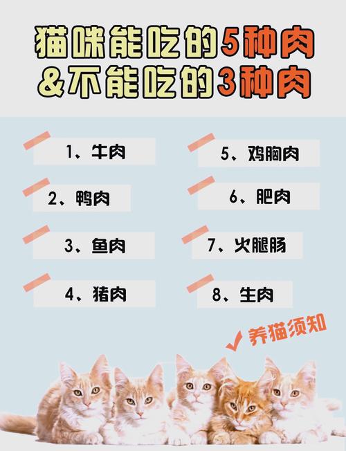 2个月的小猫能够吃肉吗