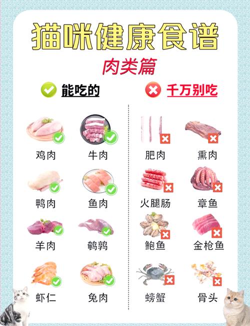 猫可以吃什么