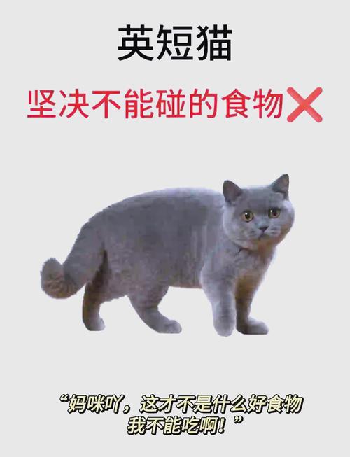 小猫吃多了会不会撑死