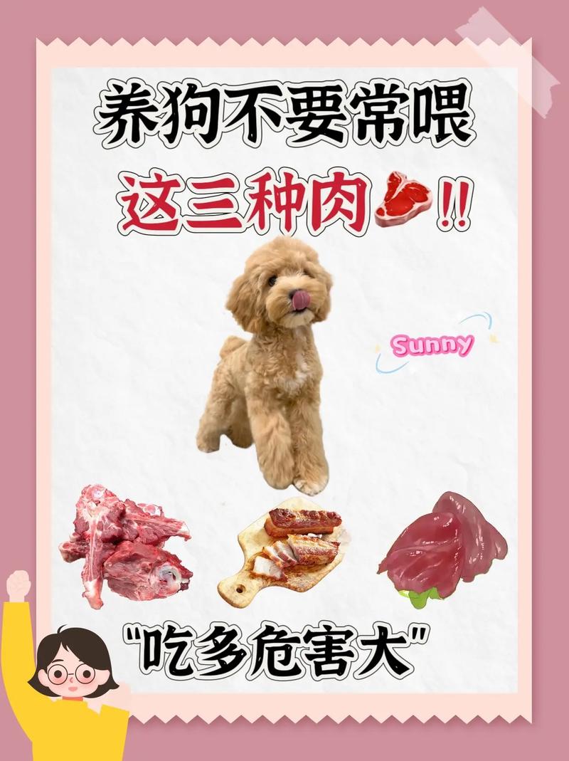 小狗多大可以吃肉?