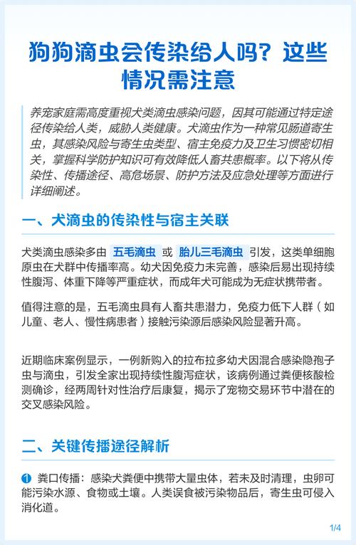 狗狗为什么会感染滴虫