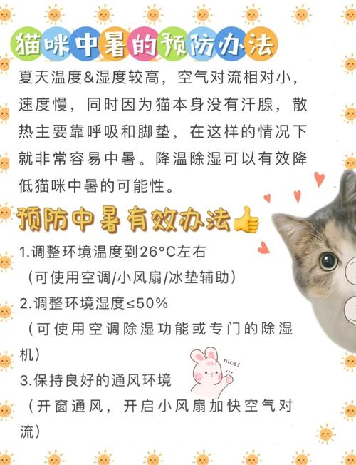 猫咪中暑临死前表现