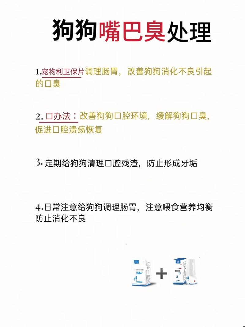 泰迪犬嘴巴很臭是怎么回事?