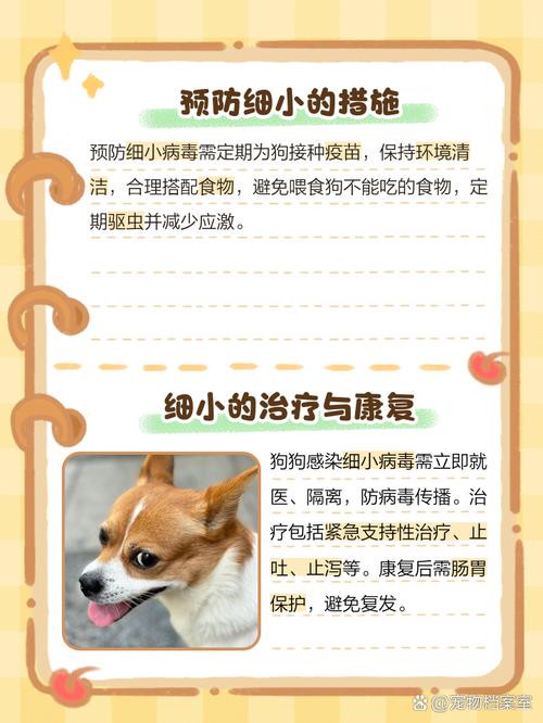 成年狗狗会得细小吗?得细小的症状是怎样的?