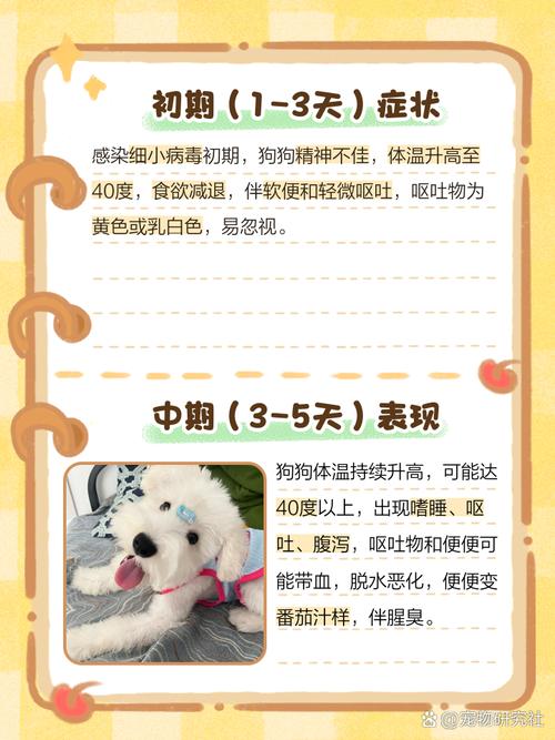 狗狗出生会自带细小病毒吗