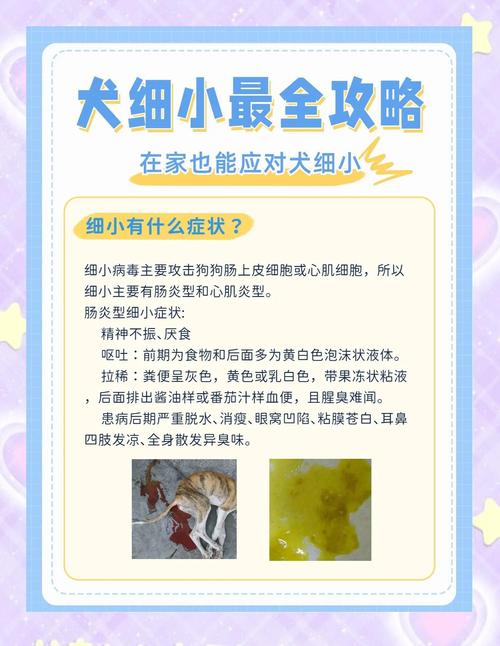 是否每只狗都会有得细小的过程,这跟打疫苗有关系吗,如果打完疫苗就不...