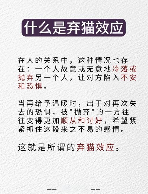 猫咪洗澡12大误区|还不看?小心要猫命