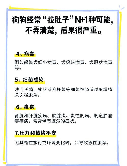 狗狗拉肚子怎么办啊?