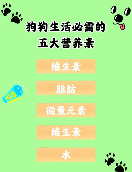 狗缺微量元素怎么食补呢