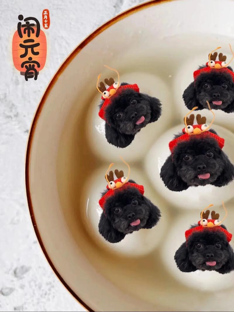 狗狗可以吃芝麻汤圆吗